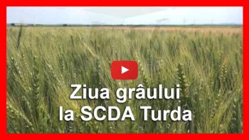 Ziua grâului la SCDA Turda