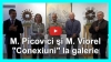 M. Picovici şi M. Viorel - "Conexiuni" la galerie